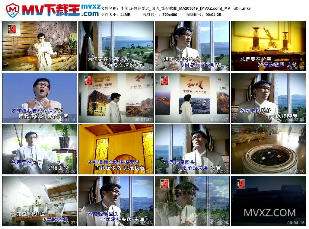 李茂山-曾经爱过_国语_流行歌曲_MA203619